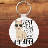 Test Day No Prob Llama Lehrer Student Test D Schlüsselanhänger (Vorderseite)