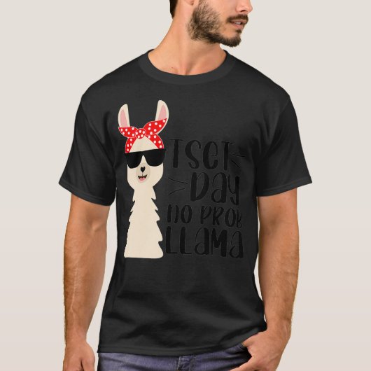 Test Day No Probllama Funny Llama Lehrer Testing T-Shirt (Vorderseite)