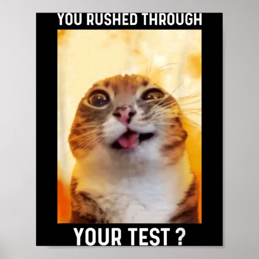 Test Hurz Durch Lustiger Testtag Lehrer Katze Poster (Vorne)