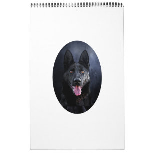 Test Kalender