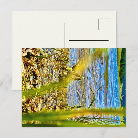 Test Postkarte (Vorne/Hinten)