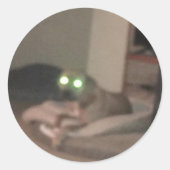 test runder aufkleber (Vorderseite)