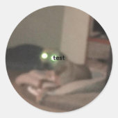 test runder aufkleber (Vorderseite)