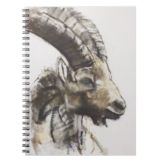 Testa 2005 notizblock (Vorderseite)