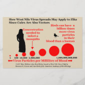 Testbullen für den zweiseitigen Zika-Flyer von Ros Flyer (Hinten)