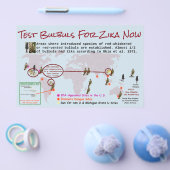 Testbullen für den zweiseitigen Zika-Flyer von Ros Flyer (Einzeln)