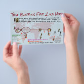 Testbullen für den zweiseitigen Zika-Flyer von Ros Flyer (Handgriff)