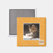 Testen von Sonnen Magnet (Vorderseite/Rückseite)