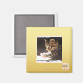 Testen von Sonnen Magnet (Vorderseite/Rückseite)