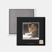 Testen von Sonnen Magnet (Vorderseite/Rückseite)