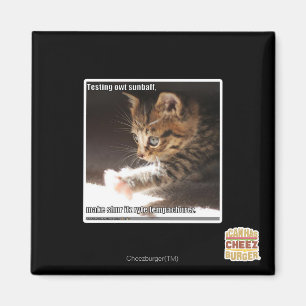 Testen von Sonnen Magnet