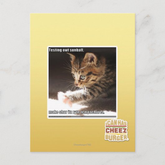 Testen von Sonnen Postkarte (Vorderseite)