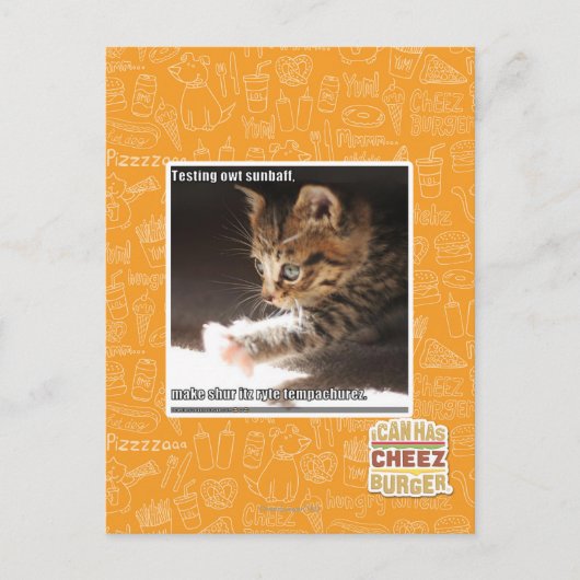Testen von Sonnen Postkarte (Vorderseite)