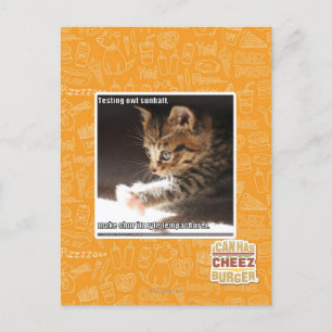 Testen von Sonnen Postkarte