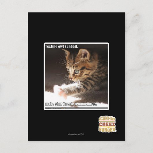 Testen von Sonnen Postkarte (Vorderseite)