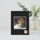 Testen von Sonnen Postkarte (Stehend Vorderseite)