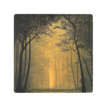 Testigo tomas sanchez