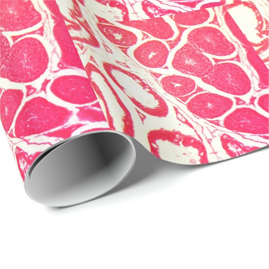 Testikel-Zellen unter dem Mikroskop Geschenkpapier (Rolleneckpunkt)