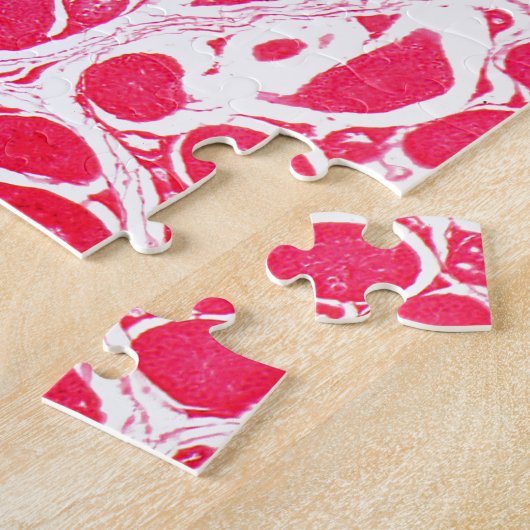 Testikel-Zellen unter dem Mikroskop Puzzle (Seite)