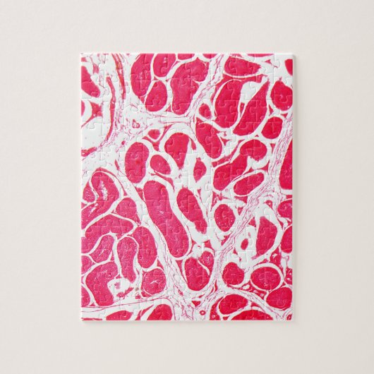 Testikel-Zellen unter dem Mikroskop Puzzle (Vertikal)