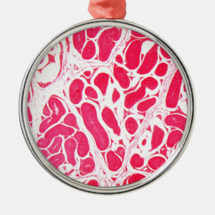 Testikel-Zellen unter dem Mikroskop Silbernes Ornament