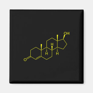 Testosteron Molekularbiologie Bodybuilding Magnet