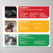 Testposter Poster (Vorne)