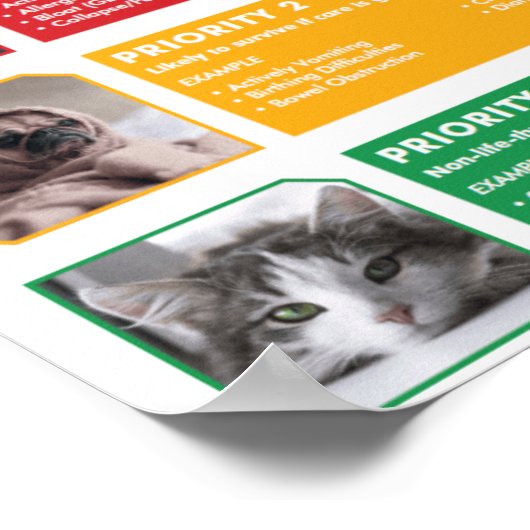 Testposter Poster (Ecke)