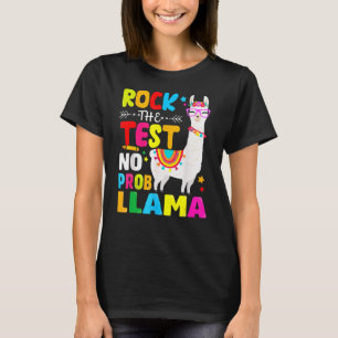 Testtag des Testlehrers Kein Prob Llama Fo T-Shirt