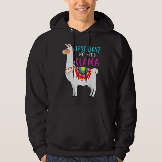 Testtag kein Problem Lama Lehrer Test Te Hoodie (Vorderseite)