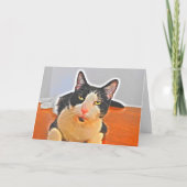 Testy Tuxedo Cat Birthday Card Karte (Vorderseite)