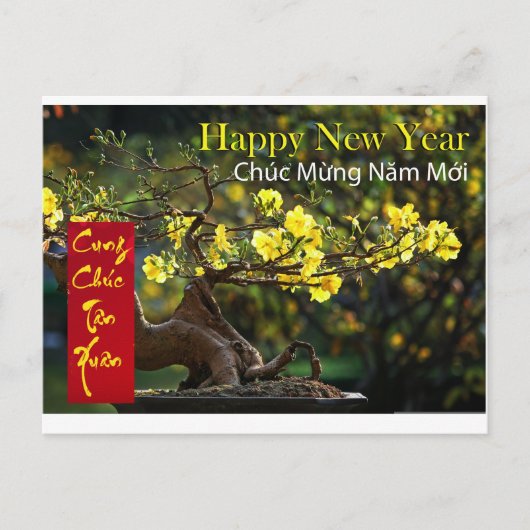 Tet Chúc MKS Visantragng Năm MISCHI Happy New Year Postkarte (Vorderseite)