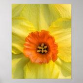 Tête à tête poster (Vorne)