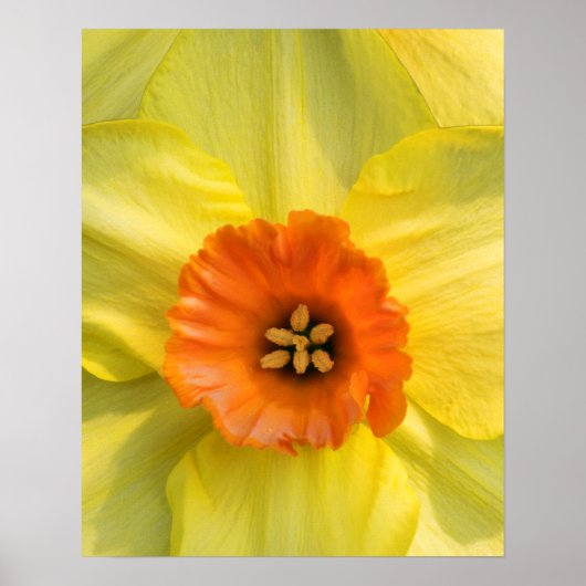 Tête à tête poster (Vorne)