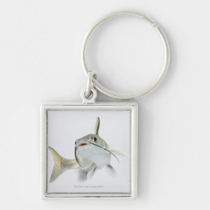 Tete Seewels (Hexanematichthys seemanni) 2 Schlüsselanhänger