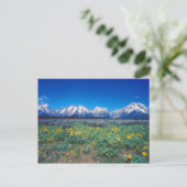 Teton Berge und Wildblumen Postkarte (Stehend Vorderseite)