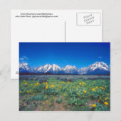 Teton Berge und Wildblumen Postkarte (Vorne/Hinten)