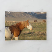 Teton erreicht Wilde Pferde Grußkarte Einladung (Innenseite)