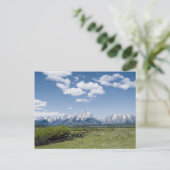 Teton Fence Postcard Postkarte (Stehend Vorderseite)