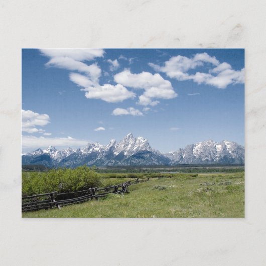 Teton Fence Postcard Postkarte (Vorderseite)