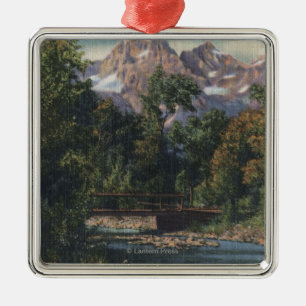 Teton Nationalpark, WY - Doppelspitzen-Ansicht Silbernes Ornament