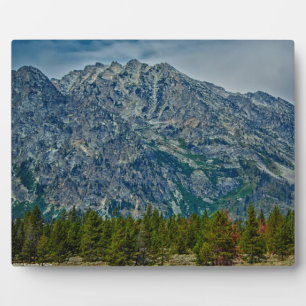 Teton NP 6901 Fotoplatte