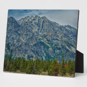 Teton NP 6901 Fotoplatte (Seite)