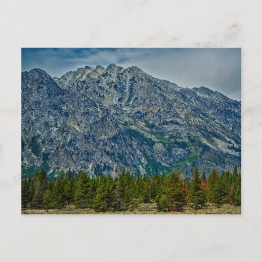 Teton NP 6901 Postkarte (Vorderseite)