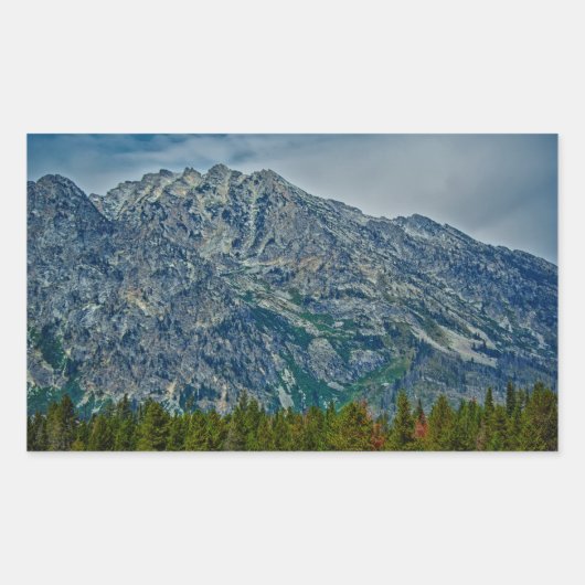 Teton NP 6901 Rechteckiger Aufkleber (Vorderseite)