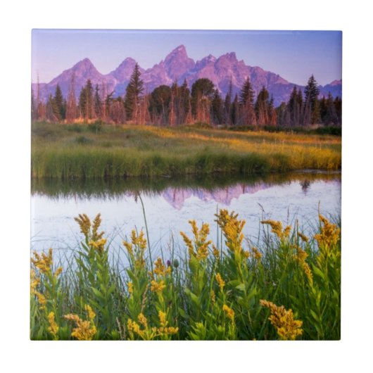 Teton Sonnenaufgang Fliese (Vorderseite)