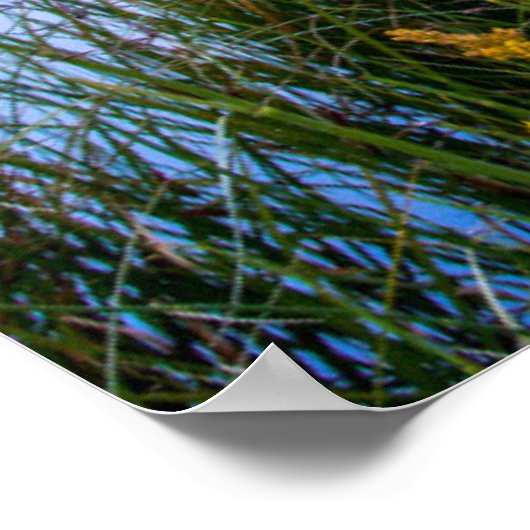 Teton Sunrise Poster (Ecke)