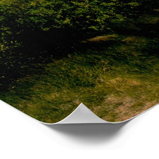 Tetons Panorama Poster (Ecke)