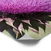 Tetons Thistle Poster (Ecke)