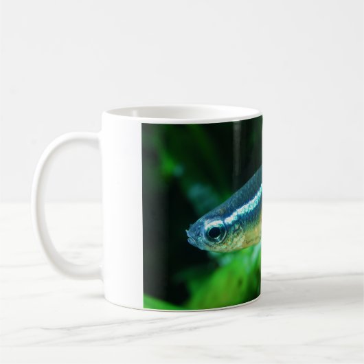 Tetra- Fischeneonparacheirodon Innesi Kaffeetasse (Links)